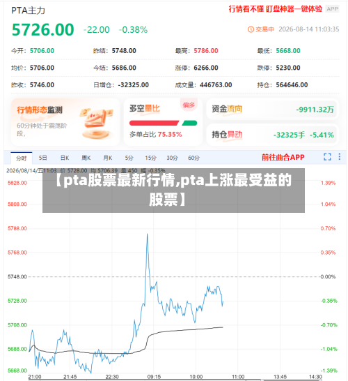 【pta股票最新行情,pta上涨最受益的股票】-第1张图片