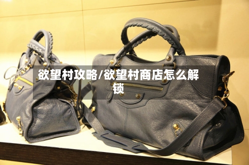 欲望村攻略/欲望村商店怎么解锁-第2张图片