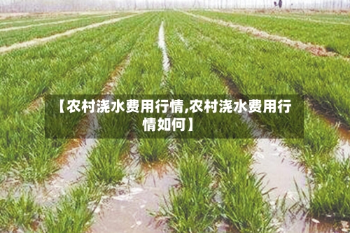【农村浇水费用行情,农村浇水费用行情如何】-第1张图片