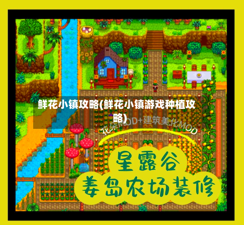 鲜花小镇攻略(鲜花小镇游戏种植攻略)-第1张图片