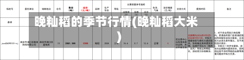 晚籼稻的季节行情(晚籼稻大米)-第2张图片