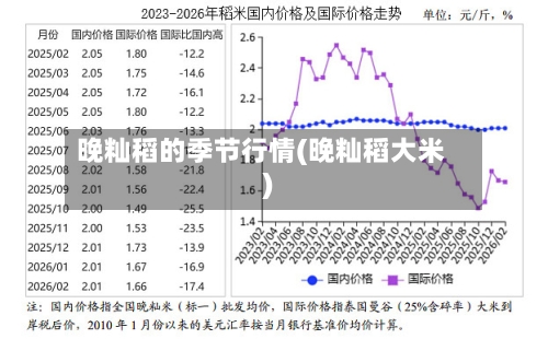 晚籼稻的季节行情(晚籼稻大米)-第1张图片