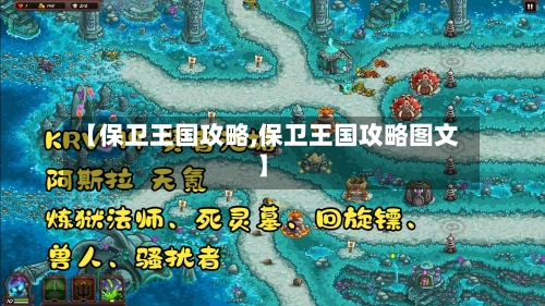 【保卫王国攻略,保卫王国攻略图文】-第1张图片