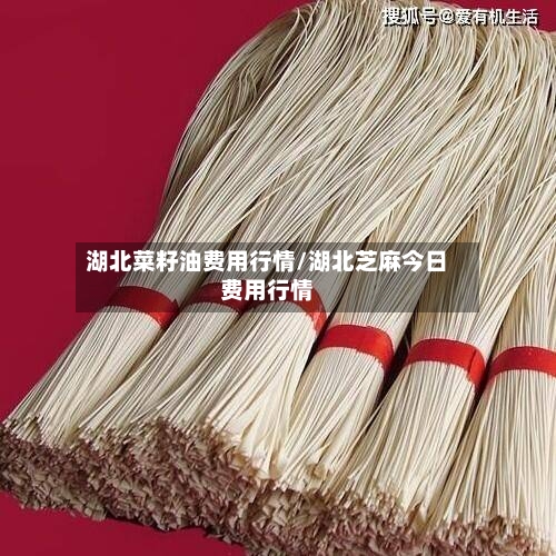 湖北菜籽油费用行情/湖北芝麻今日费用行情-第1张图片