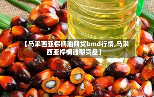 【马来西亚棕榈油期货bmd行情,马来西亚棕榈油期货盘】