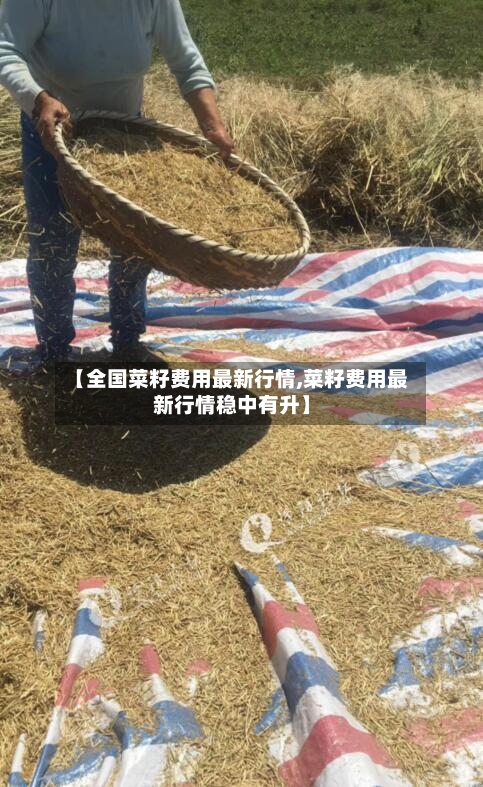 【全国菜籽费用最新行情,菜籽费用最新行情稳中有升】-第1张图片