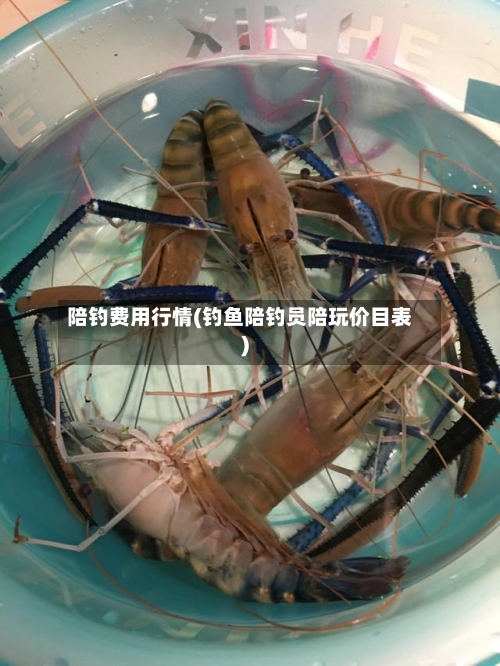 陪钓费用行情(钓鱼陪钓员陪玩价目表)-第2张图片