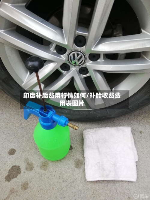 印度补胎费用行情如何/补胎收费费用表图片-第2张图片