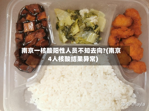 南京一核酸阳性人员不知去向?(南京4人核酸结果异常)-第1张图片