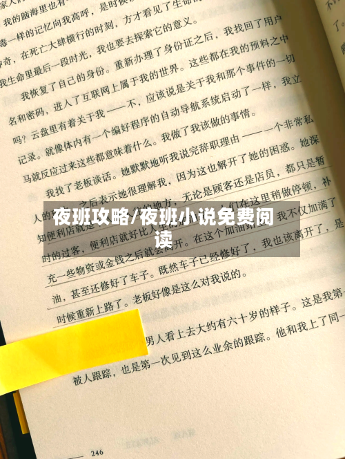 夜班攻略/夜班小说免费阅读-第1张图片