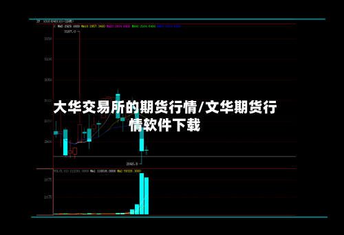 大华交易所的期货行情/文华期货行情软件下载-第2张图片