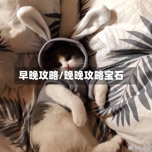 早晚攻略/晚晚攻略宝石-第1张图片