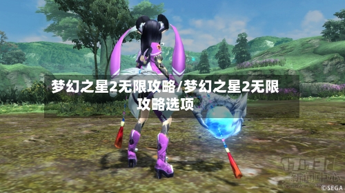 梦幻之星2无限攻略/梦幻之星2无限攻略选项-第1张图片