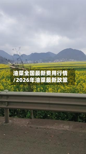 油菜全国最新费用行情/2026年油菜最新政策-第1张图片