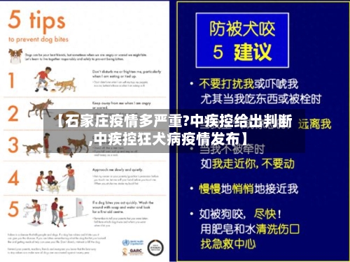 【石家庄疫情多严重?中疾控给出判断,中疾控狂犬病疫情发布】-第2张图片