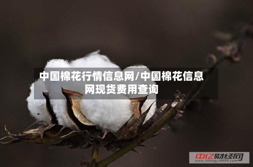 中国棉花行情信息网/中国棉花信息网现货费用查询-第1张图片
