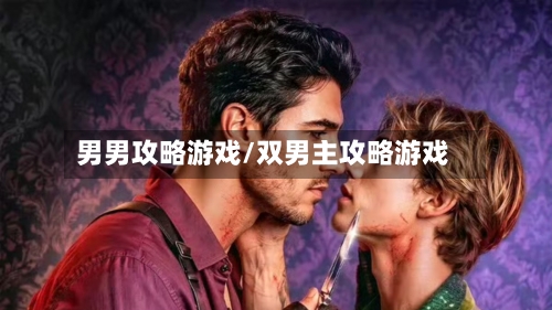 男男攻略游戏/双男主攻略游戏-第1张图片