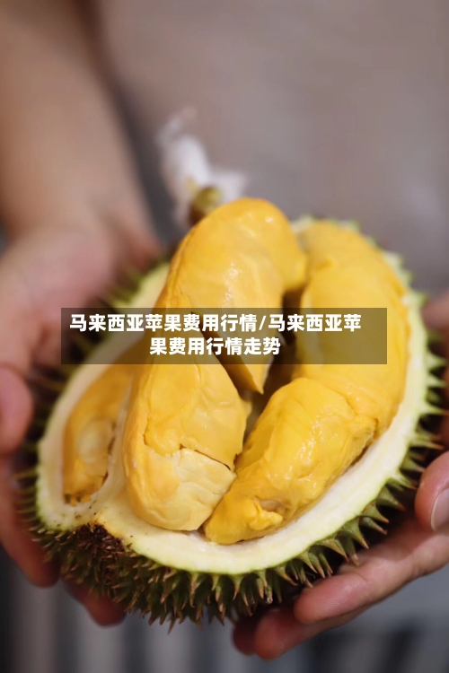 马来西亚苹果费用行情/马来西亚苹果费用行情走势-第1张图片