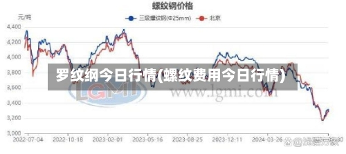 罗纹纲今日行情(螺纹费用今日行情)-第1张图片
