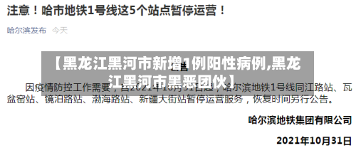 【黑龙江黑河市新增1例阳性病例,黑龙江黑河市黑恶团伙】-第1张图片