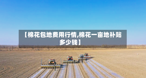 【棉花包地费用行情,棉花一亩地补贴多少钱】-第1张图片