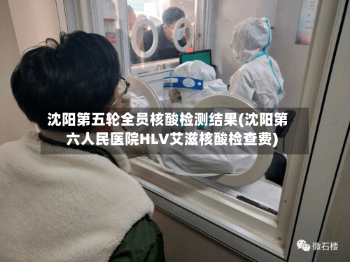 沈阳第五轮全员核酸检测结果(沈阳第六人民医院HLV艾滋核酸检查费)-第1张图片