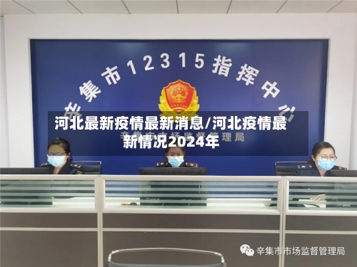 河北最新疫情最新消息/河北疫情最新情况2024年-第3张图片
