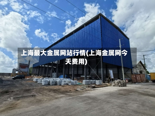 上海最大金属网站行情(上海金属网今天费用)-第2张图片