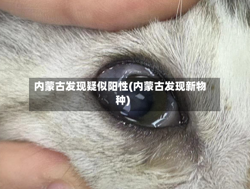内蒙古发现疑似阳性(内蒙古发现新物种)-第1张图片