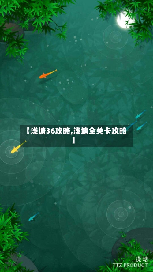 【浅塘36攻略,浅塘全关卡攻略】-第1张图片