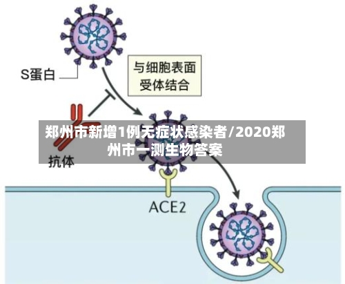 郑州市新增1例无症状感染者/2020郑州市一测生物答案-第3张图片