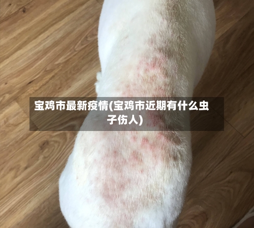 宝鸡市最新疫情(宝鸡市近期有什么虫子伤人)-第1张图片