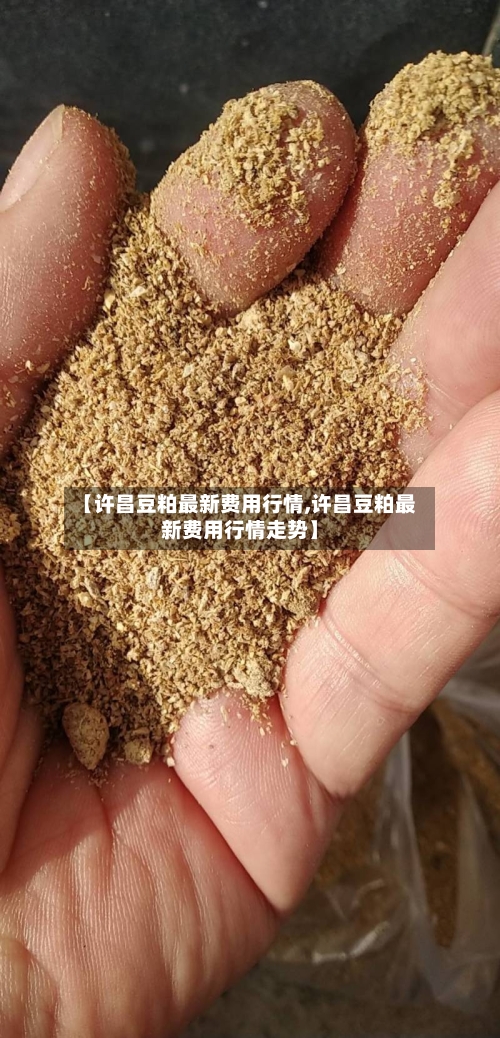 【许昌豆粕最新费用行情,许昌豆粕最新费用行情走势】-第1张图片