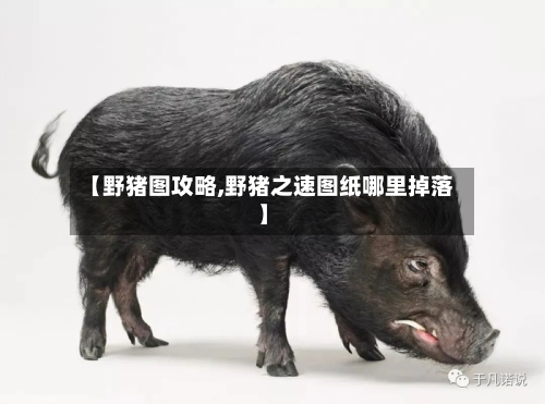 【野猪图攻略,野猪之速图纸哪里掉落】-第1张图片