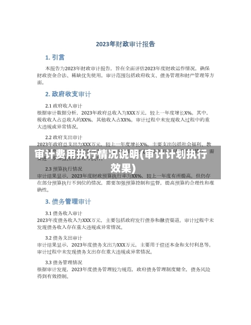 审计费用执行情况说明(审计计划执行效果)-第1张图片