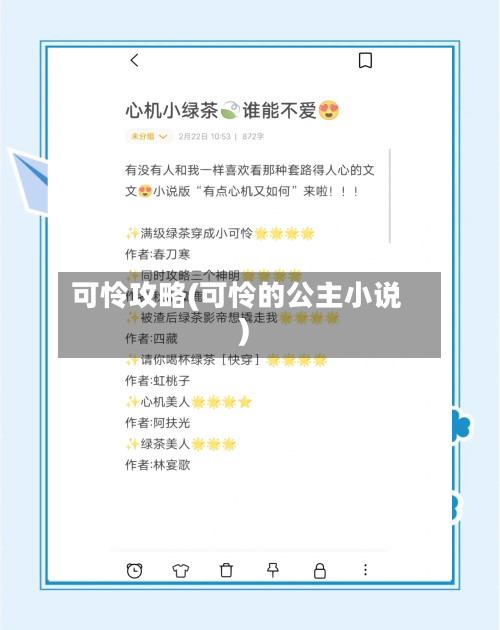 可怜攻略(可怜的公主小说)-第1张图片