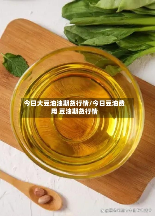 今日大豆油油期货行情/今日豆油费用 豆油期货行情-第3张图片