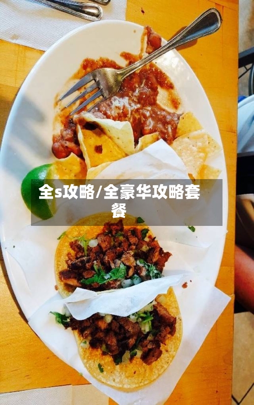 全s攻略/全豪华攻略套餐-第1张图片
