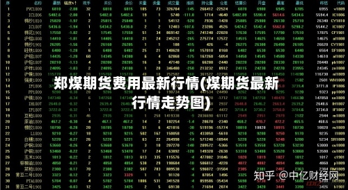 郑煤期货费用最新行情(煤期货最新行情走势图)-第1张图片