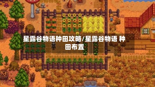 星露谷物语种田攻略/星露谷物语 种田布置-第2张图片