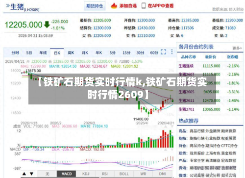 【铁矿石期货实时行情k,铁矿石期货实时行情2609】-第1张图片