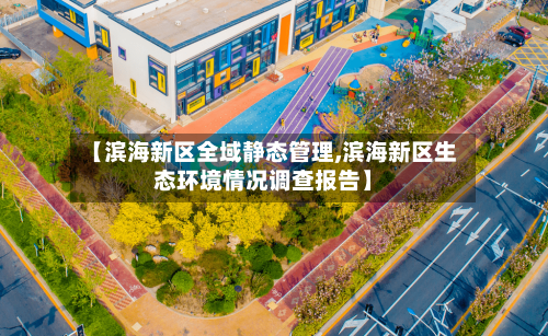 【滨海新区全域静态管理,滨海新区生态环境情况调查报告】