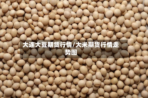 大连大豆期货行情/大米期货行情走势图-第1张图片