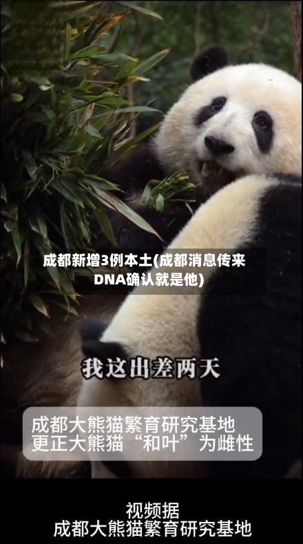 成都新增3例本土(成都消息传来DNA确认就是他)-第1张图片