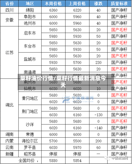 菜籽油价行情/菜籽行情最新消息今天-第1张图片