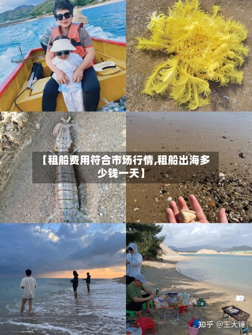 【租船费用符合市场行情,租船出海多少钱一天】-第1张图片