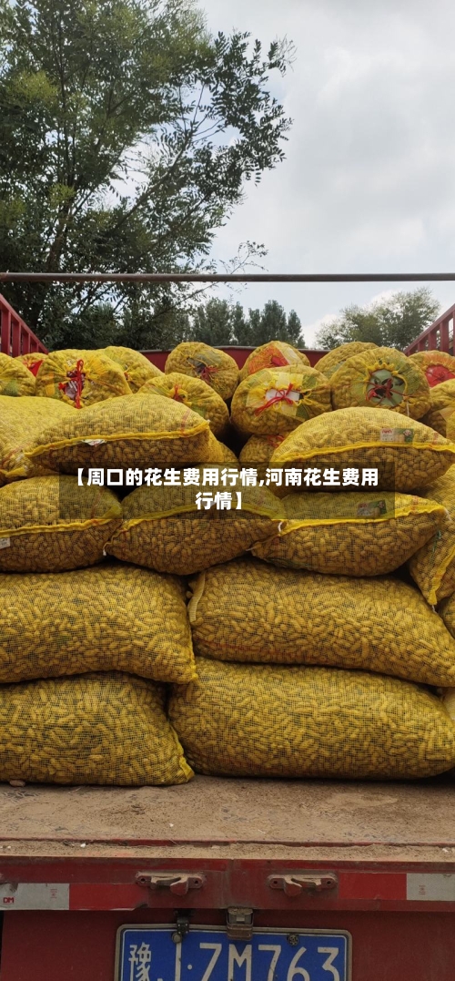 【周口的花生费用行情,河南花生费用行情】-第1张图片