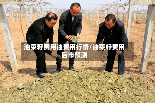 油菜籽费用油费用行情/油菜籽费用后市预测-第1张图片