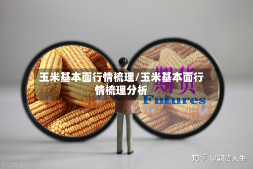 玉米基本面行情梳理/玉米基本面行情梳理分析