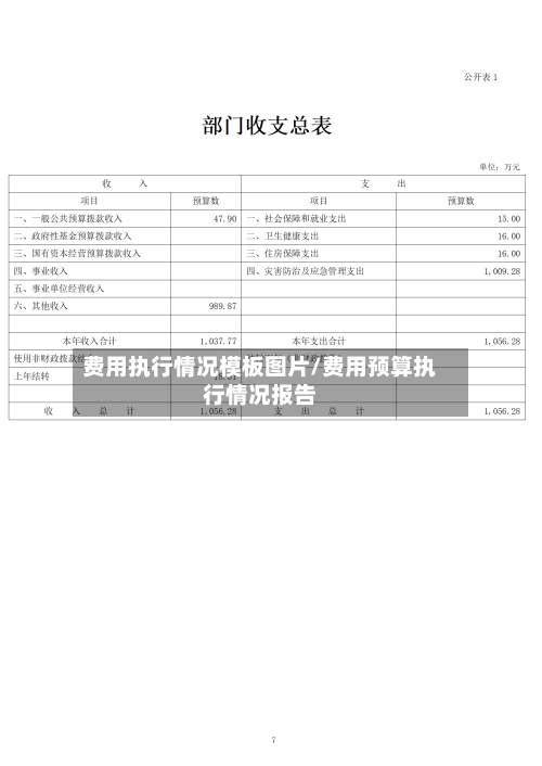 费用执行情况模板图片/费用预算执行情况报告-第1张图片